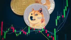 Doge coin